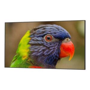 DynaScan 75" Fladskærms TV DS752LR4 75" LED-backlit LCD display - 4K LED 4K